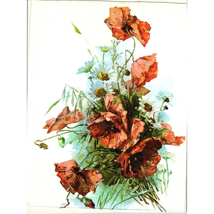 Catherine Klein Bouquet of Poppies, Daiseys Vintage Art Print 3.5x5 V12