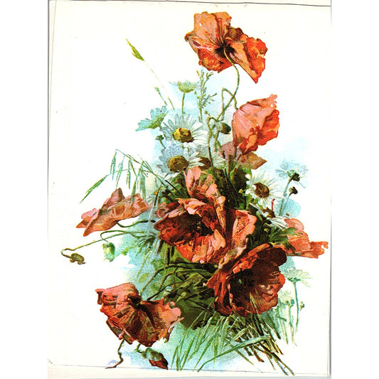 Catherine Klein Bouquet of Poppies, Daiseys Vintage Art Print 3.5x5 V12