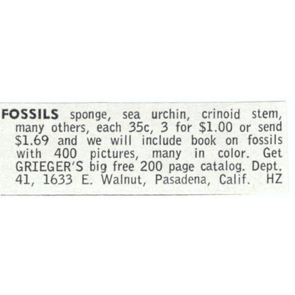 Grieger's Fossils Pasadena CA 1964 Magazine Ad AB6-LJS2