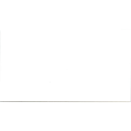 2003 Snow Egret First Day of Issue Stamp Postal Cover TI5-PC1