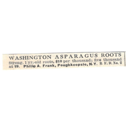 Philip A Frank Washington Asparagus Roots Poughkeepsie NY 1924 Ad AG3-S7