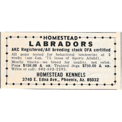 Homestead Kennels Labradors Phoenix AZ 1977 Ad AF6-S4
