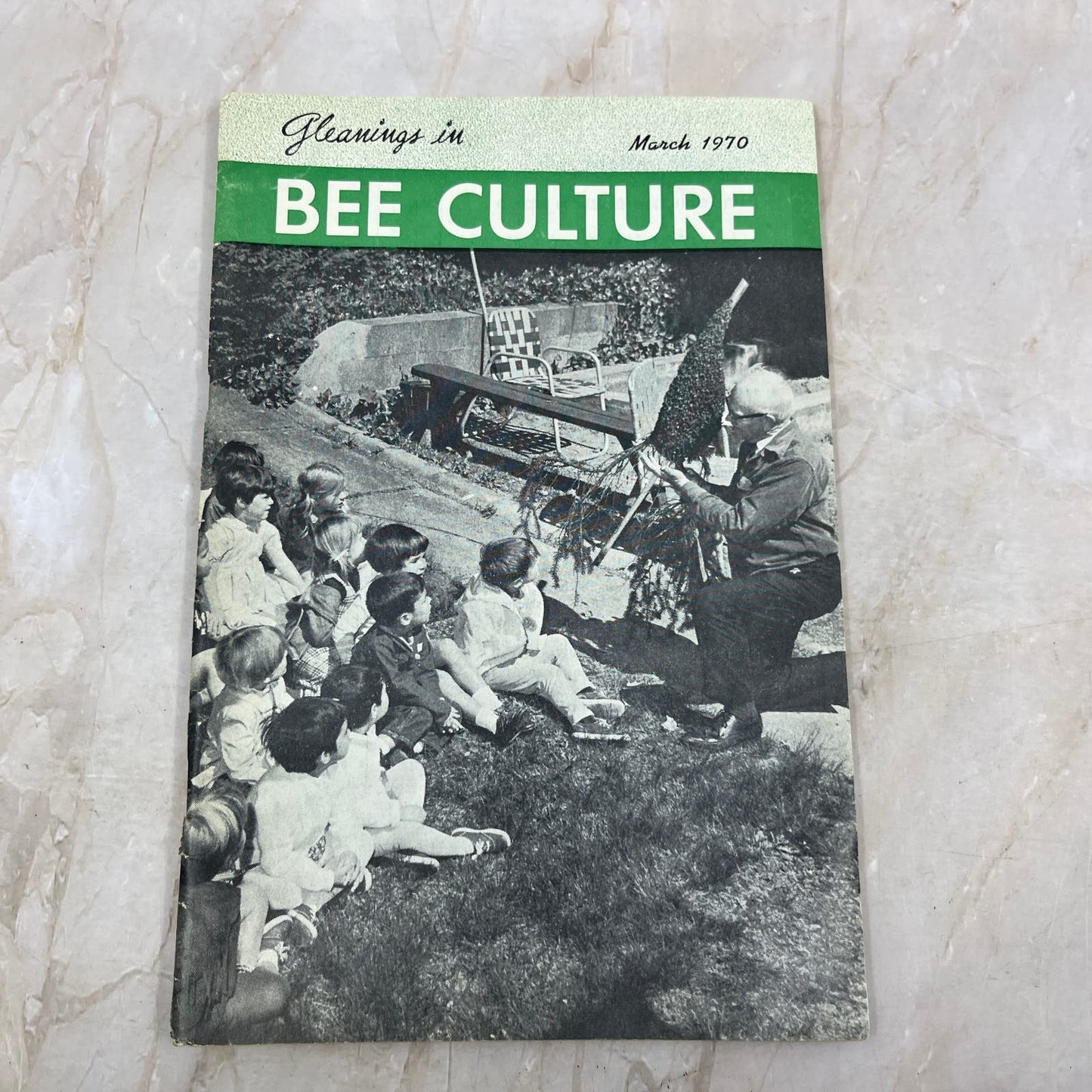 1970 March Gleanings in Bee Culture Magazine Bees Beekeeping Honey TD7