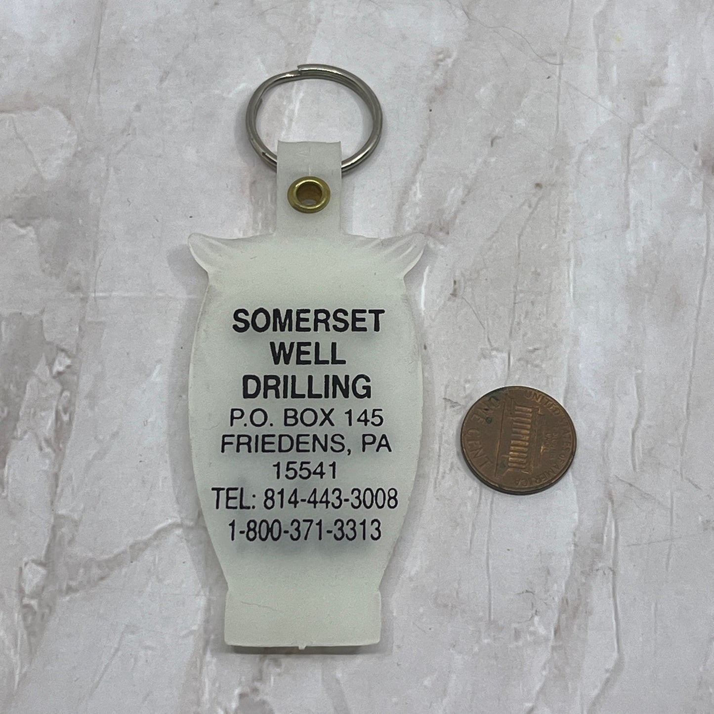 Somerset Well Drilling Friedens PA Give a Hoot Owl Keychain SB3