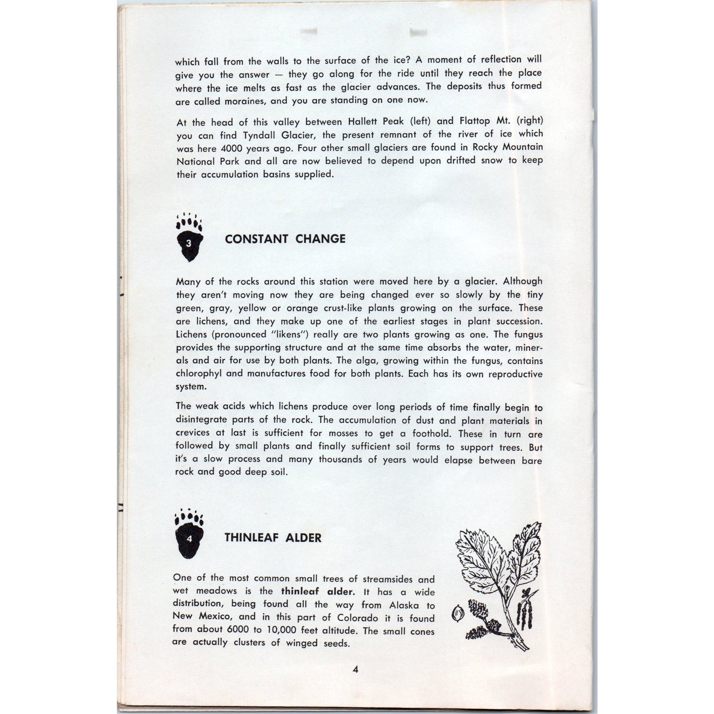 1971 Bear Lake Nature Trail Rocky Mountain National Park Travel Booklet AD8-R8