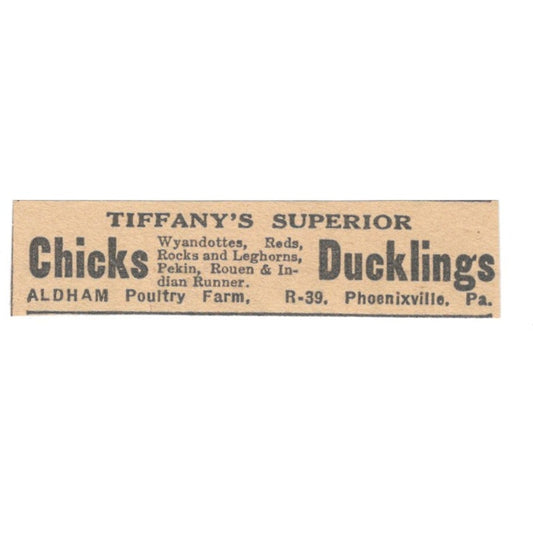 Tiffany's Superior Chicks Ducklings Aldham Poultry Farm Phoenixville 1922 AF2-T7