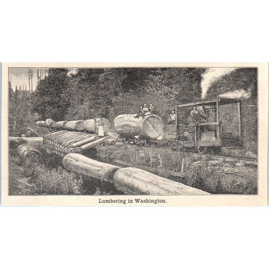 Lumbering in Washington 1901 Engraving AF2-A6
