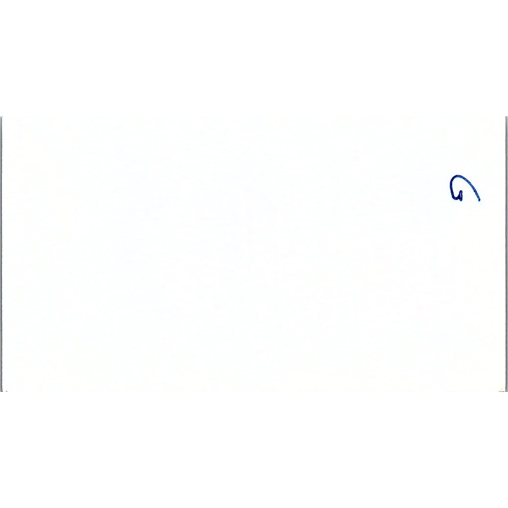 Lisa's Heaven Lisa Risler Trinity TX Vintage Business Card SC9-B9