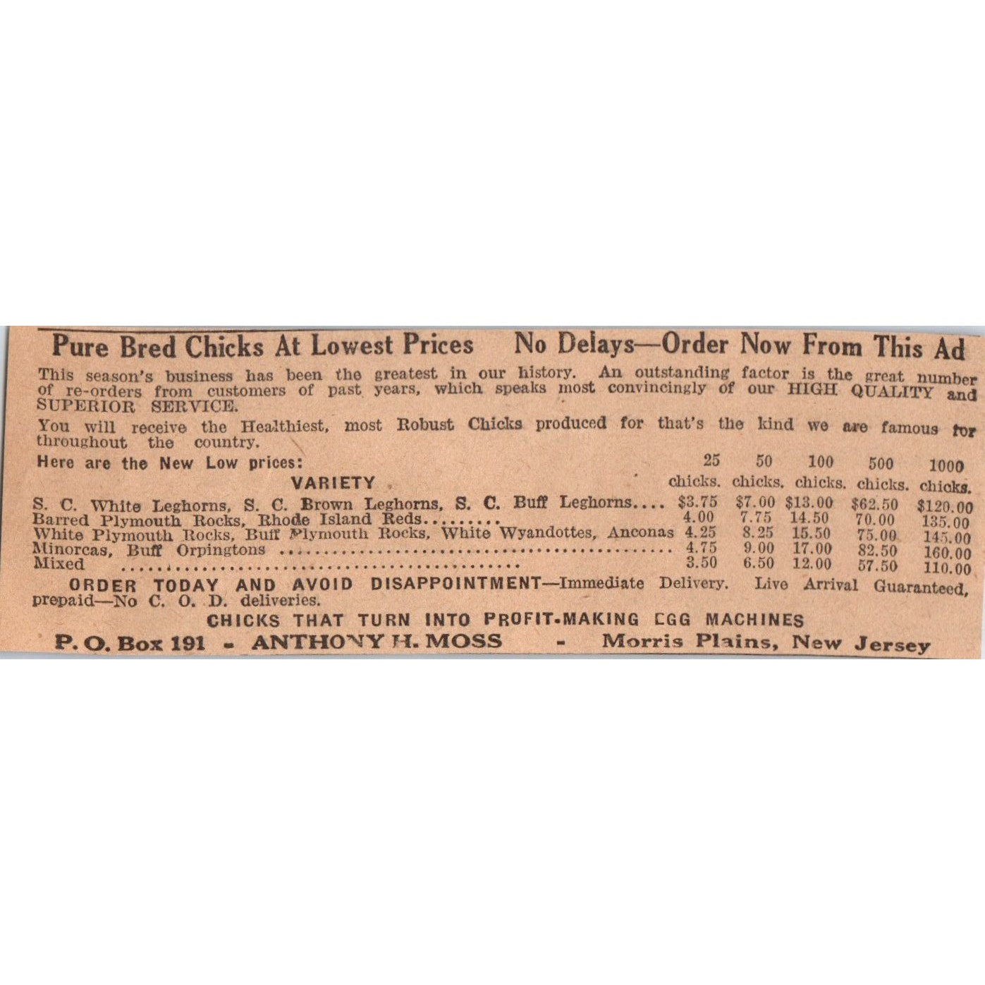 Anthony H. Moss Pure Bred Chicks Morris Plains NJ 1922 Magazine Ad AF2-A5