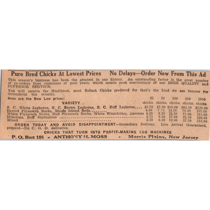 Anthony H. Moss Pure Bred Chicks Morris Plains NJ 1922 Magazine Ad AF2-A5