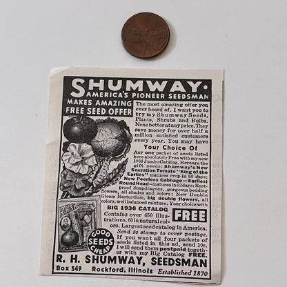 R.H. Shumway, Seedsman America's Pioneer Seedsman Rockford IL 1936 Ad SAG4-M4