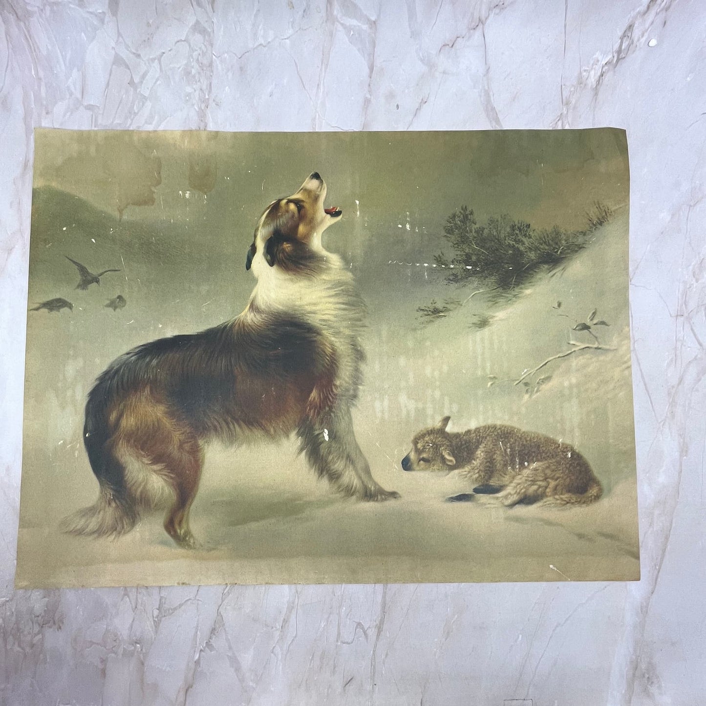 Shepherd's Call Albrecht Schenck Art Print Lithograph 12x16 FL6-3