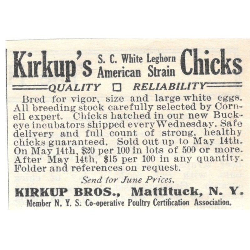 Kirkup's Leghorn Chicks Kirkup Bros. Mattituck NY 1924 Ad AG3-S2