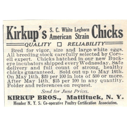 Kirkup's Leghorn Chicks Kirkup Bros. Mattituck NY 1924 Ad AG3-S2