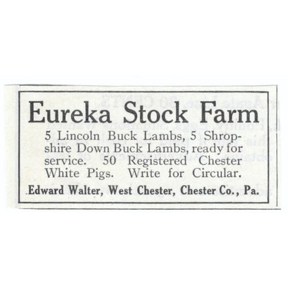 Eureka Stock Farm Edward Walter West Chester PA 1913 Magazine Advert AE7-N8