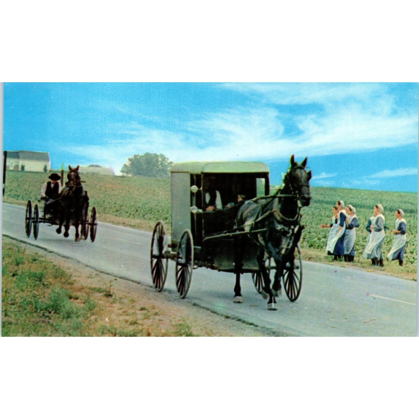 Amish Courting Buggy Intercourse Pennsylvania Dutch Country Postcard PD7