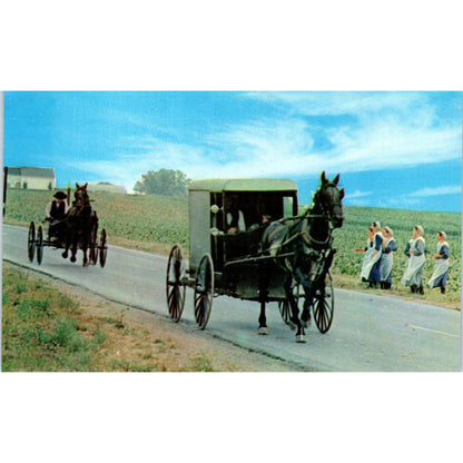 Amish Courting Buggy Intercourse Pennsylvania Dutch Country Postcard PD7