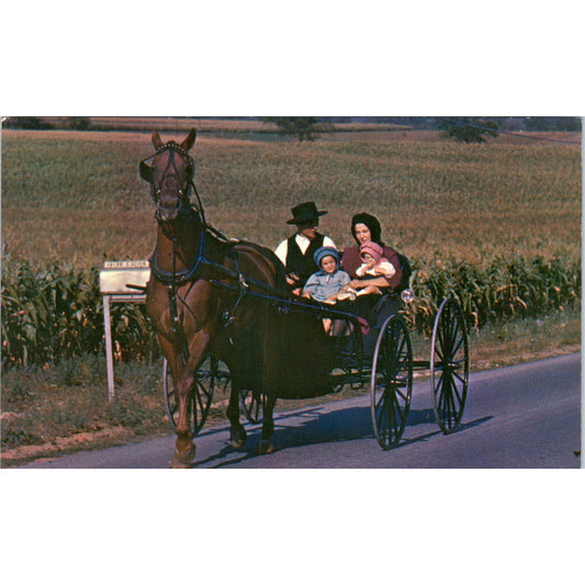 Amish Family Buggy on Sunday Drive Pennsylvania Dutch Country Postcard PD7