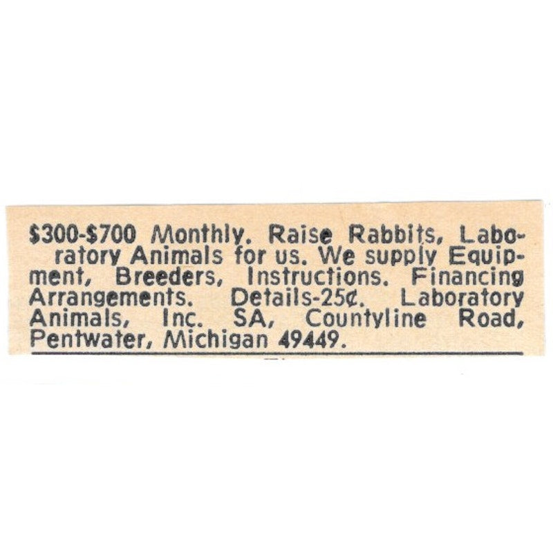Laboratory Animals Inc Raise Rabbits Pentwater MI 1977 Ad AF6-S9