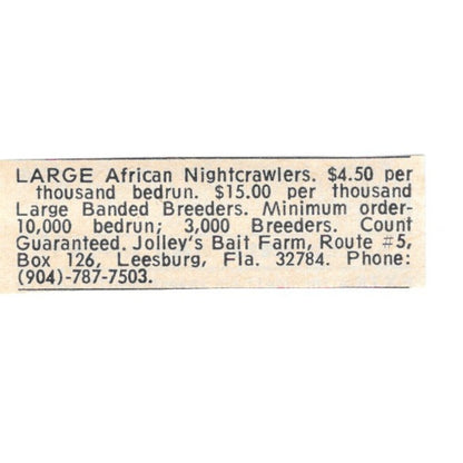 Large African Nightcrawlers Jolley's Bait Farm Leesburg FL 1977 Ad AF6-S5