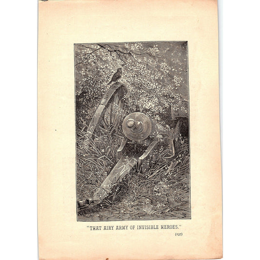 That Airy Army of Invisible Heroes - Dilapidated Canon 1884 Engraving TA5-CJ-1