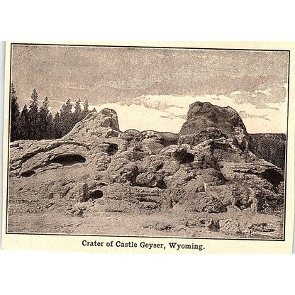 Crater of Castle Geyser Wyoming 3x4" 1901 Engraving AF6-M11