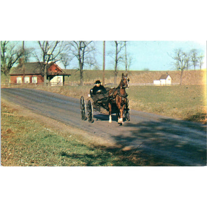 Amish Courting Buggy Pennsylvania Dutch Country Vintage Postcard PD4