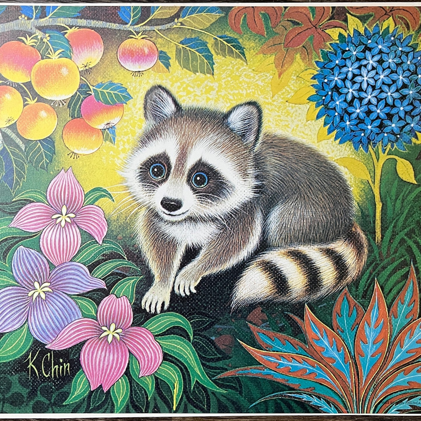 1970s Raccoon - K Chin Retro Kitsch Lithograph Art Print 9x12 V8