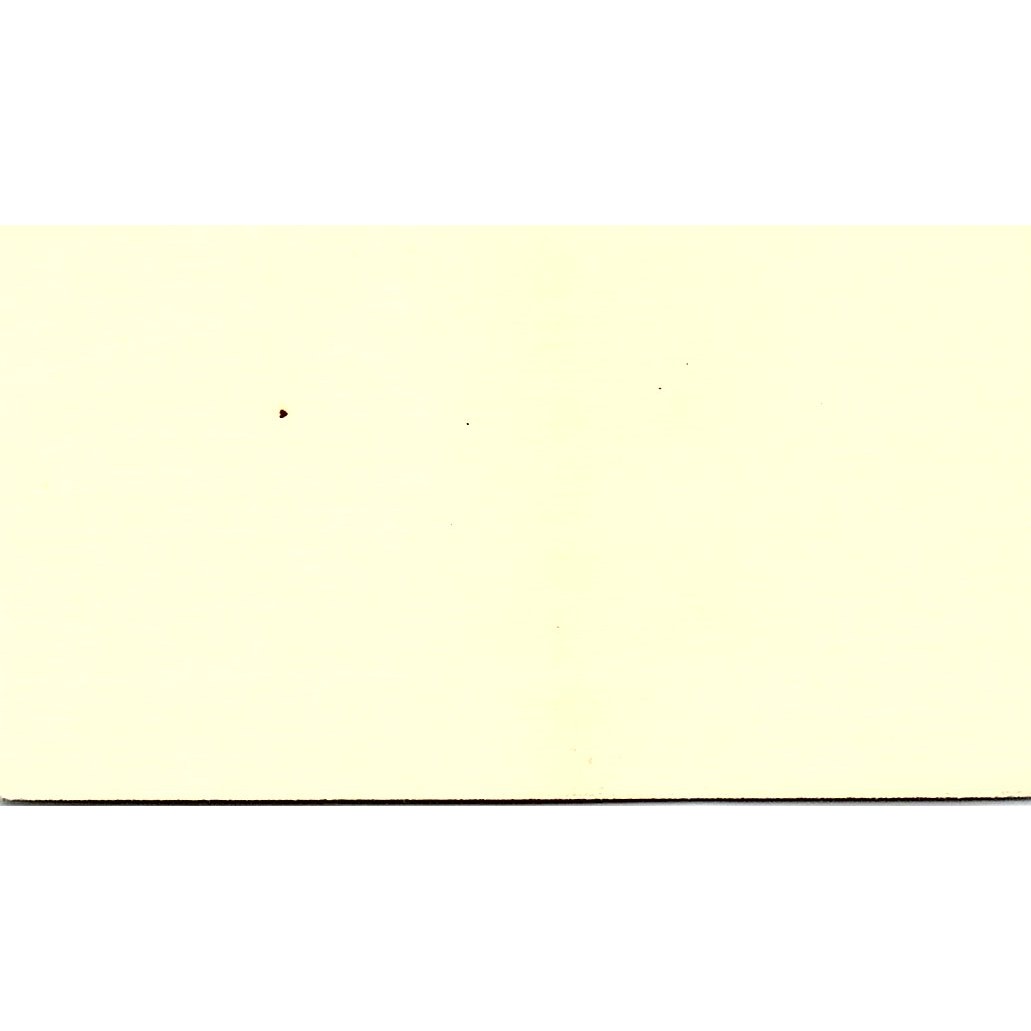 Lee Ann Severin Diamond Shamrock Chemicals Morristown NJ Business Card SE3-B10