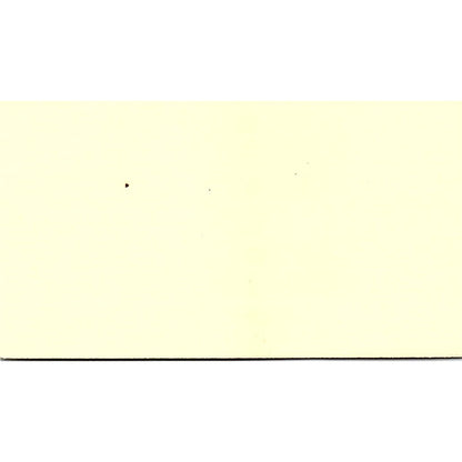 Lee Ann Severin Diamond Shamrock Chemicals Morristown NJ Business Card SE3-B10