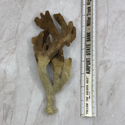 Vintage Dead Man's Fingers Ocean Sea Sponge 8" Long TG7