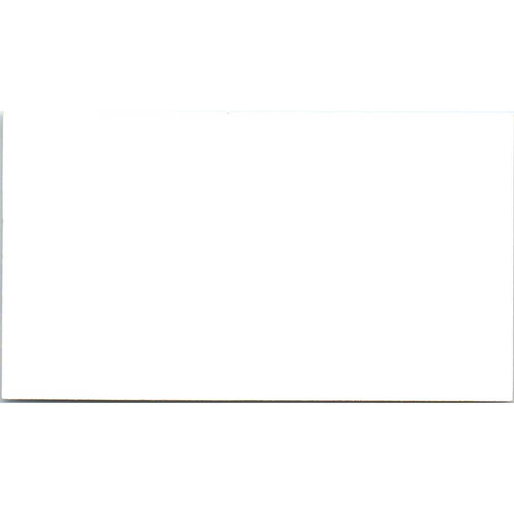 Taj Mahal Cuisine of India Houston TX Vintage Business Card SD8-B8