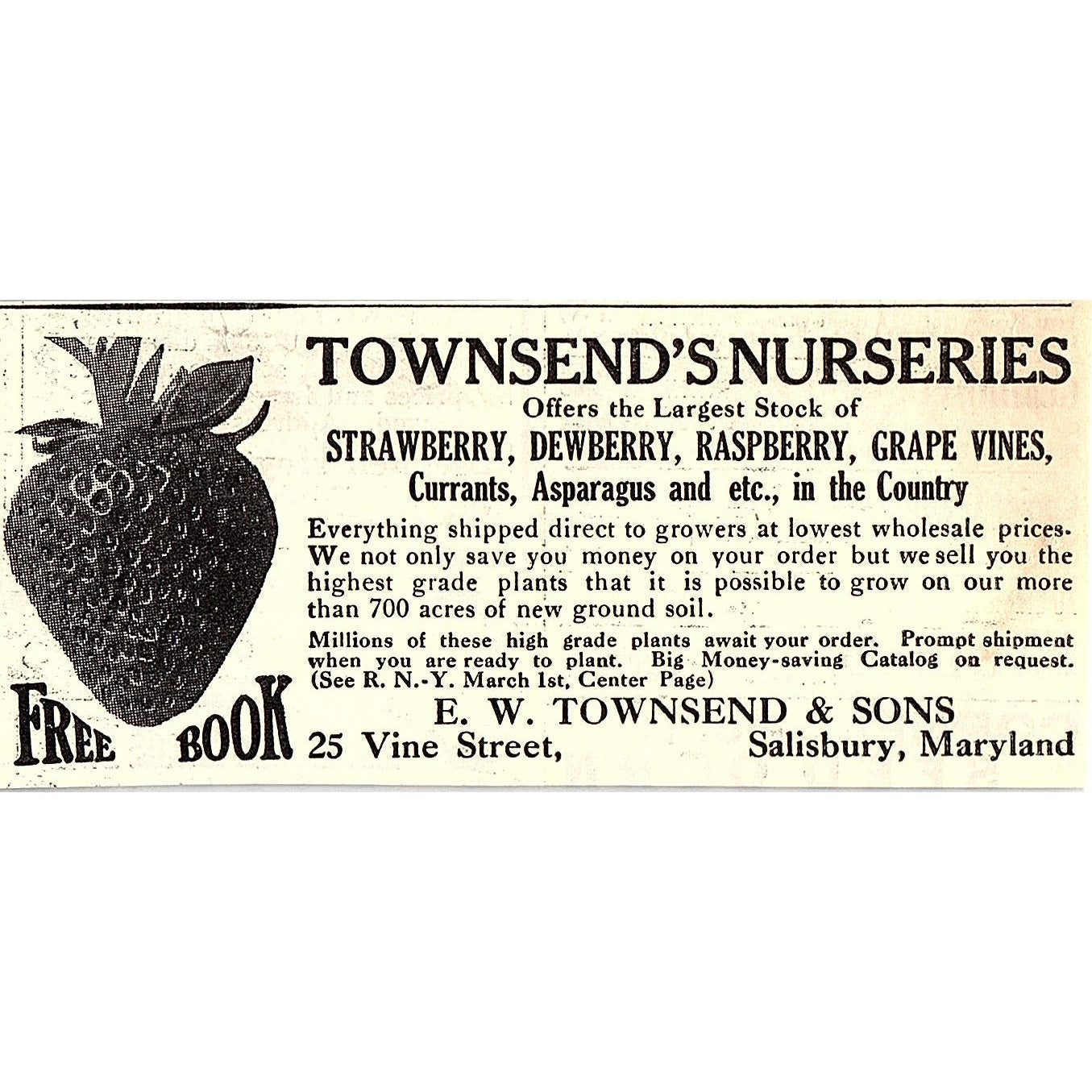 E.W. Townsend & Sons Strawberries Salisbury MD 1924 Ad AG3-M3