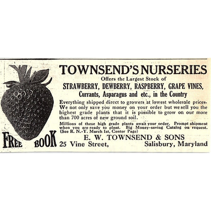 E.W. Townsend & Sons Strawberries Salisbury MD 1924 Ad AG3-M3