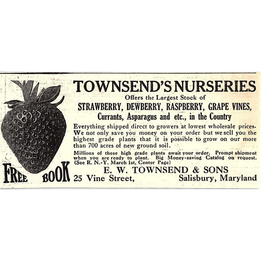 E.W. Townsend & Sons Strawberries Salisbury MD 1924 Ad AG3-M3