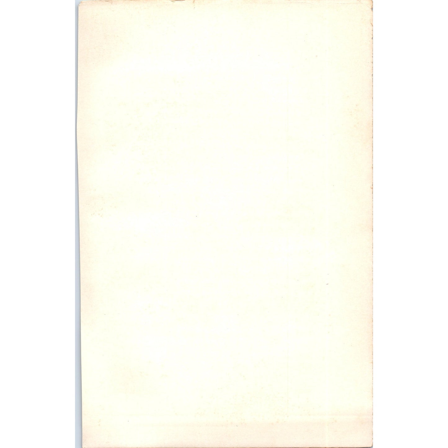 Château D'Amboise France 1901 Original Print AD8-H8