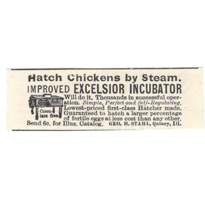 Hatch Chickens by Steam Excelsior Incubator Geo. Stahl Quincy c1890 Ad AE8-CH11