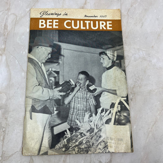 1967 Nov Gleanings in Bee Culture Magazine Bees Beekeeping Honey TD7