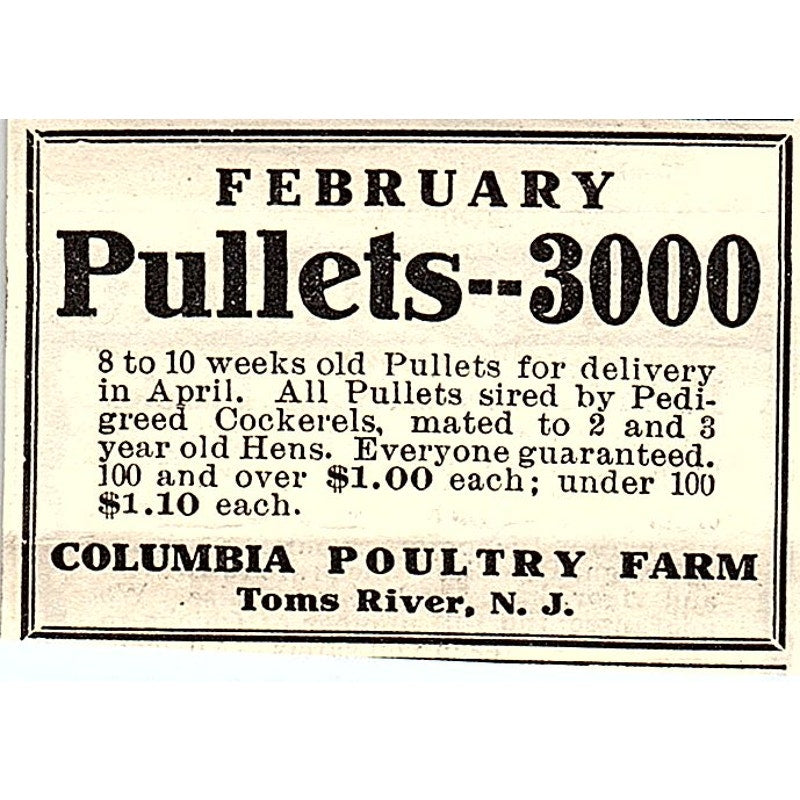 Columbia Poultry Farm Pullets Toms River NJ 1924 Ad AG3-S17
