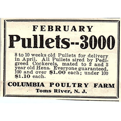 Columbia Poultry Farm Pullets Toms River NJ 1924 Ad AG3-S17