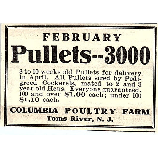 Columbia Poultry Farm Pullets Toms River NJ 1924 Ad AG3-S17