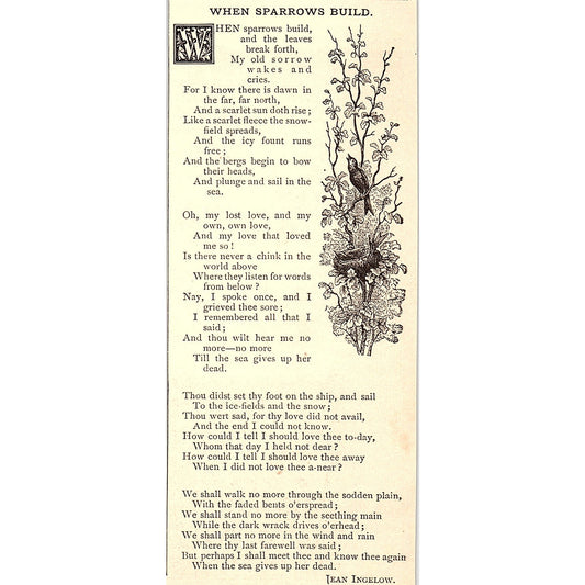 When Sparrows Build - Jean Ingelow 1884 Poem AG3-1