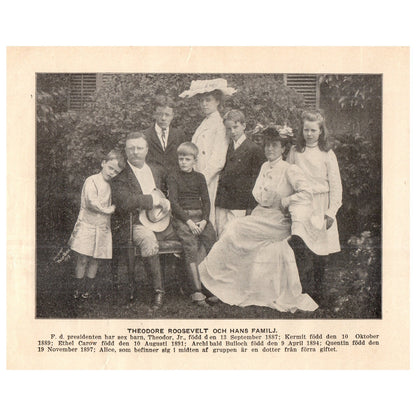 Teddy Roosevelt With His Family 1909 Swedish Engraving Print AF5-17