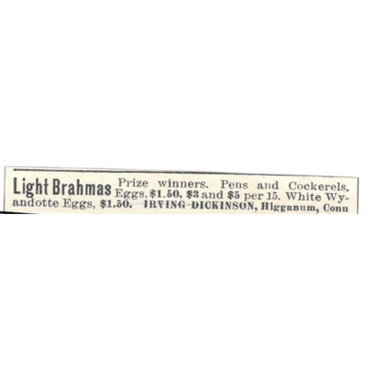 Irving Dickinson Light Brahmas Higganum CT 1924 Ad AG3-S8