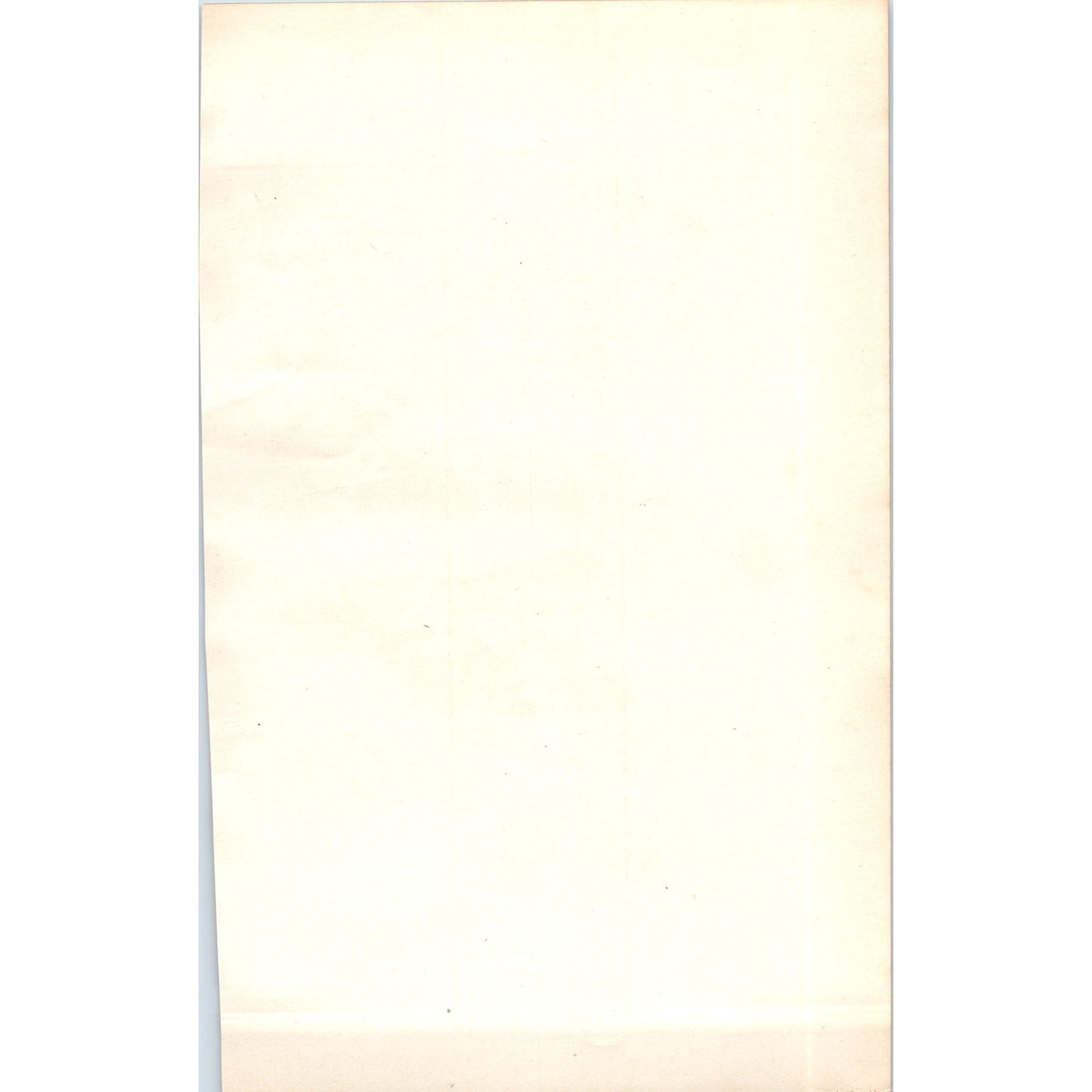 Whitethroat Bird 1903 Original Color Engraving Plate Print AD8-B3