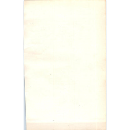 Whitethroat Bird 1903 Original Color Engraving Plate Print AD8-B3