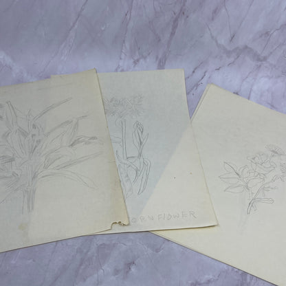 1940s Lot Flower Floral Sketches & Studies Winifred Schutsky Pratt Institute TC5
