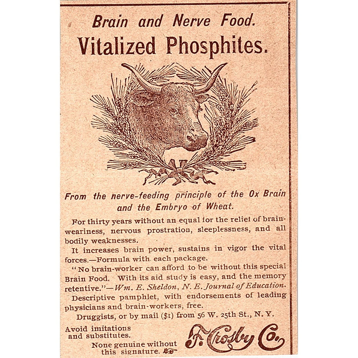 Vitalized Phosphites F. Crosby Co W. 25th St. NY 1892 Ad AG2-M9