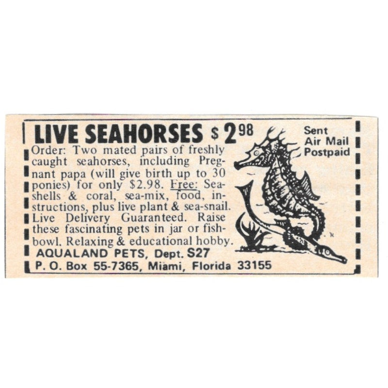 Aqualand Pets Seahorses Miami FL 1977 Ad AF6-S2