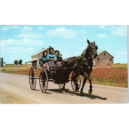 Amish Girls in Horse & Buggy After Sunday Church Pennsylvania Dutch Country P9-1